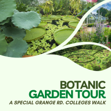 Pictures of gardens